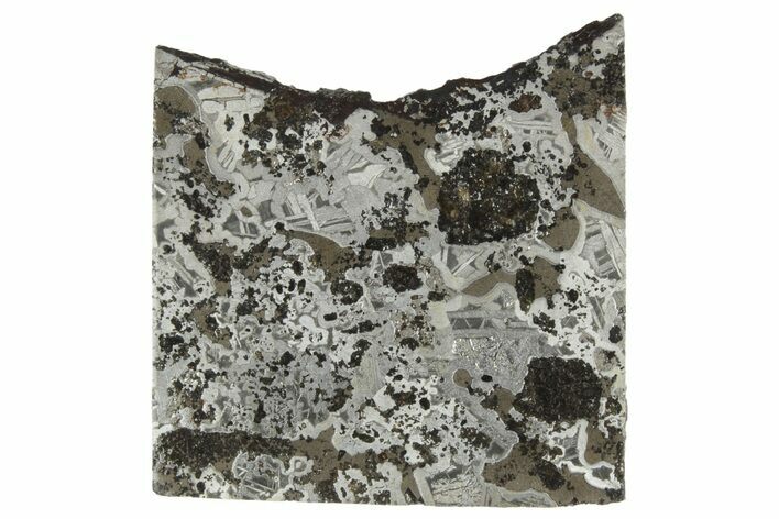 Polished Maslyanino Iron Meteorite Slice ( g) - Russia #242963